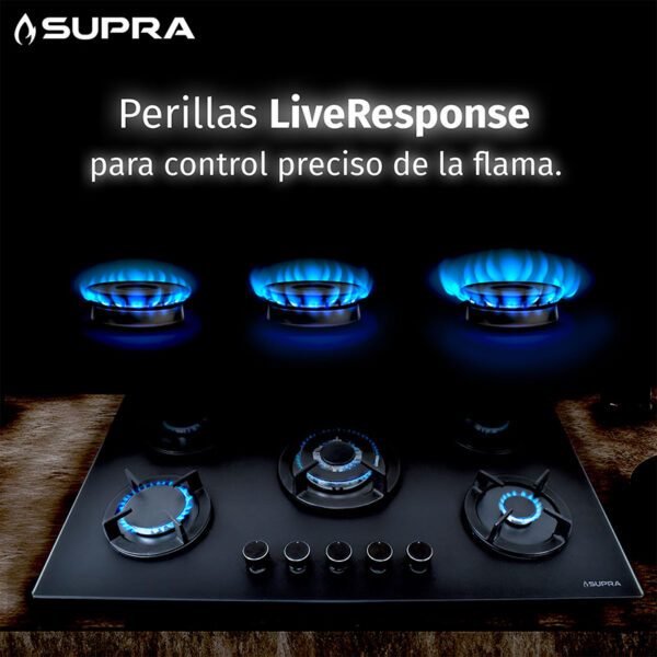 Bella_90_10 Bella_90_10