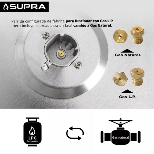 Bella_90_6 Bella_90_6